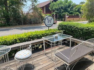 Blue Butterfly place picture