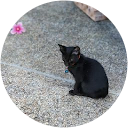 POO WANIDA profile picture