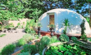LittleForest Cafe