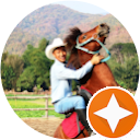 Pong Horse Park profile picture