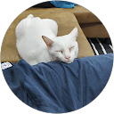 ภาวี ยศพลสกุล profile picture