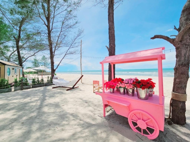 CelsiusBeachxCafe07