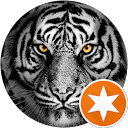 Satha J profile picture