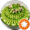 Prayuth Wongsuwan PPP profile picture